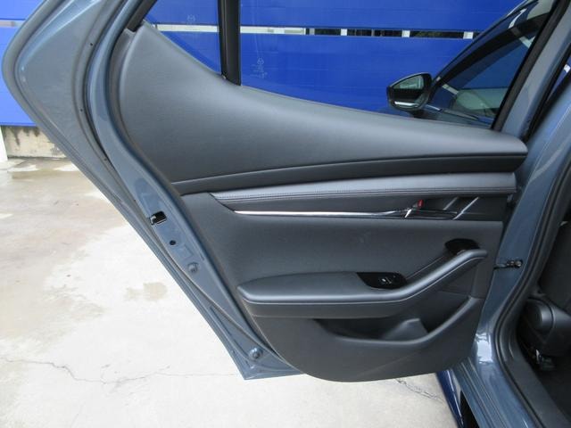 Миниатюра 42