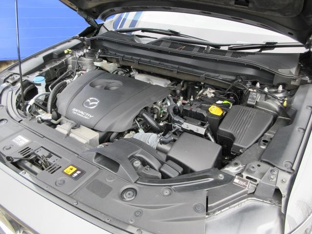 Миниатюра 57