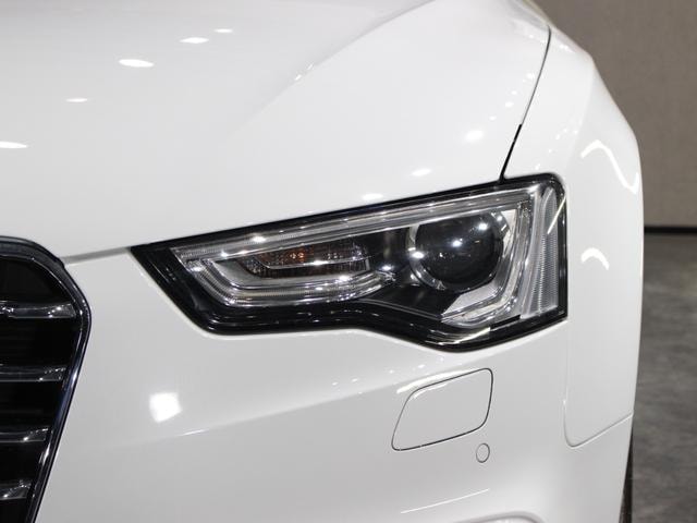 Миниатюра 29