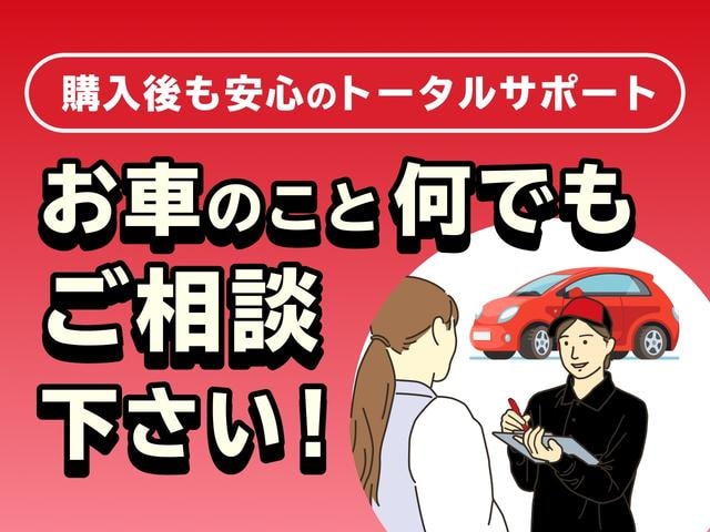 Миниатюра 67