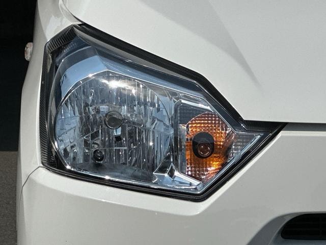 Миниатюра 46