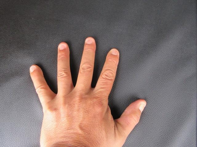 Миниатюра 36