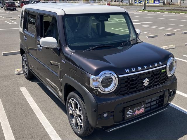 Миниатюра 12
