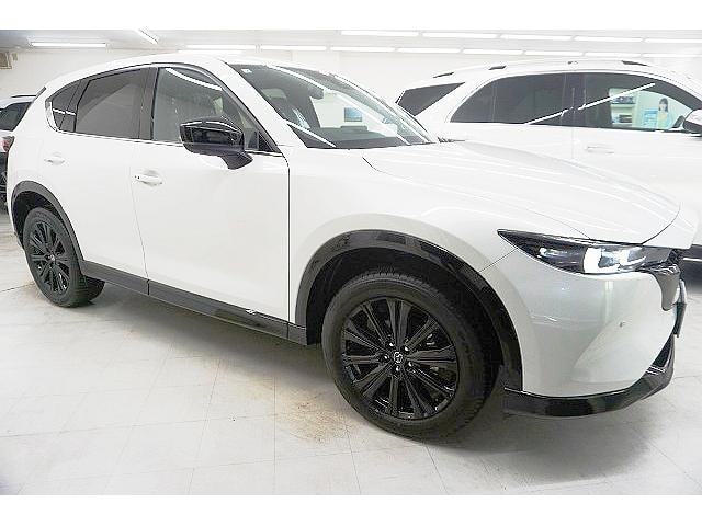 Миниатюра 36
