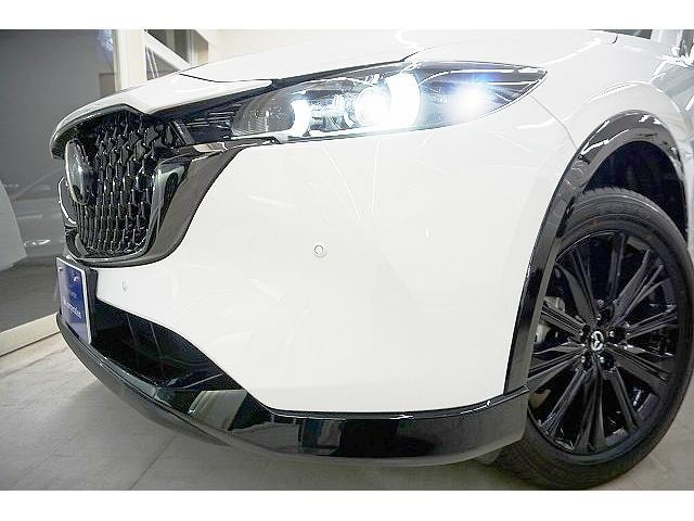 Миниатюра 73