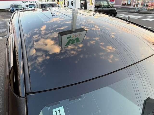 Миниатюра 29