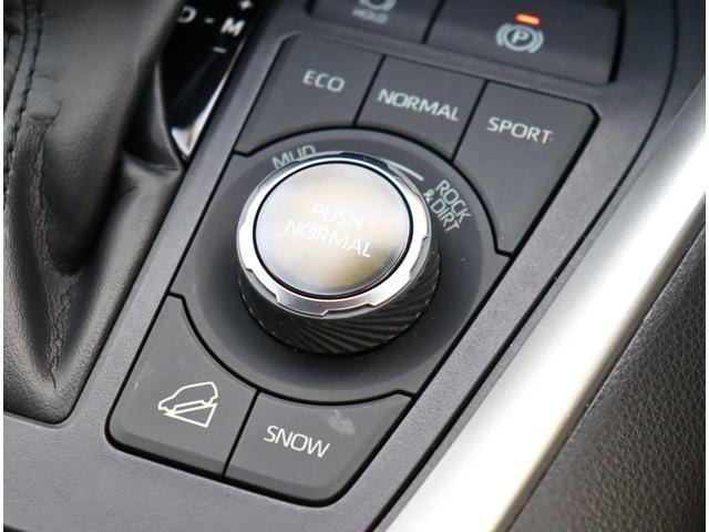 Toyota RAV4 2019 — фото автомобиля 1
