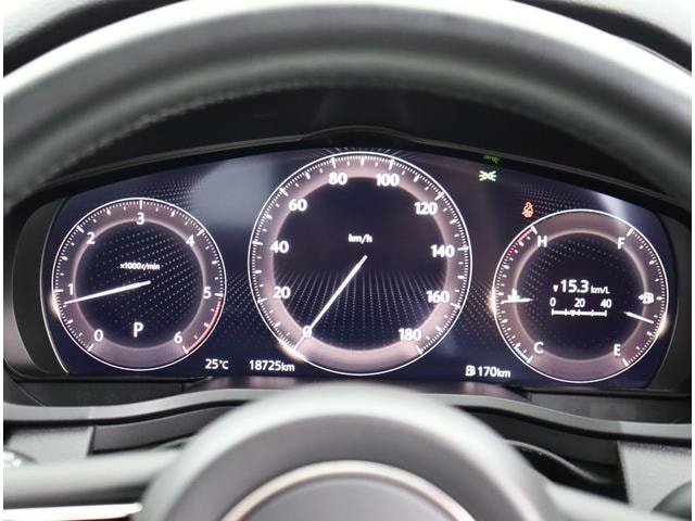 Миниатюра 18