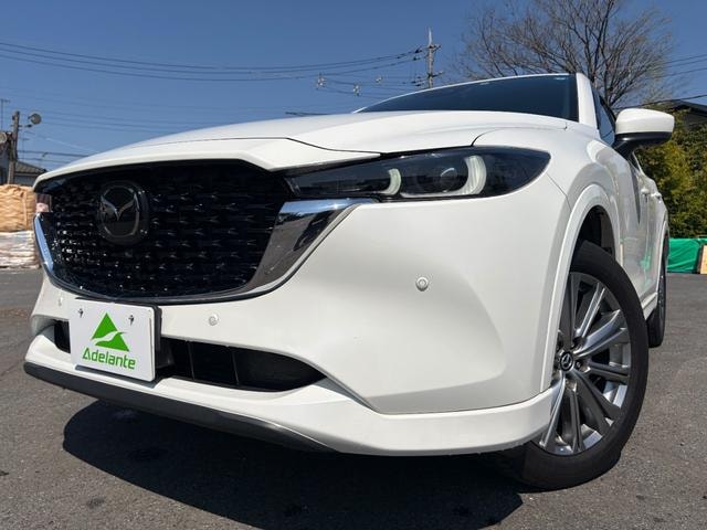 Миниатюра 44