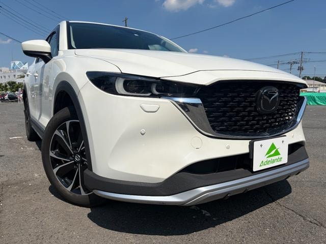 Миниатюра 49