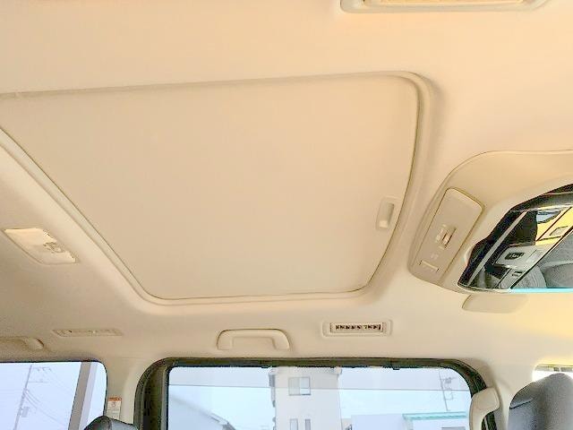 Миниатюра 41