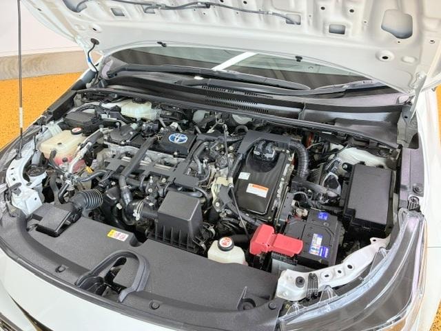 Миниатюра 6