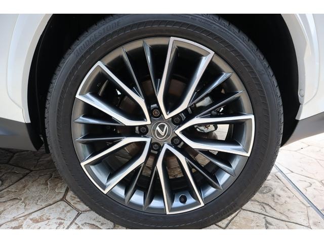 Lexus NX 2024 — фото автомобиля 1