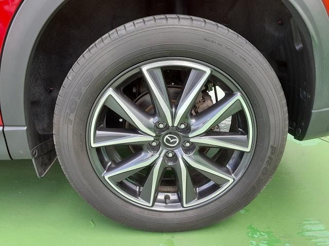 Миниатюра 47