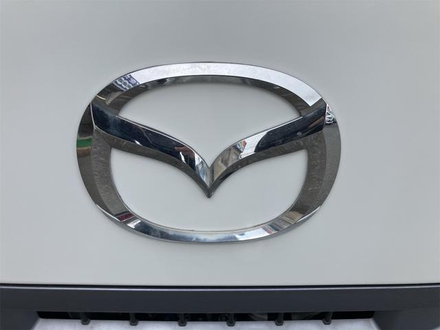 Миниатюра 61