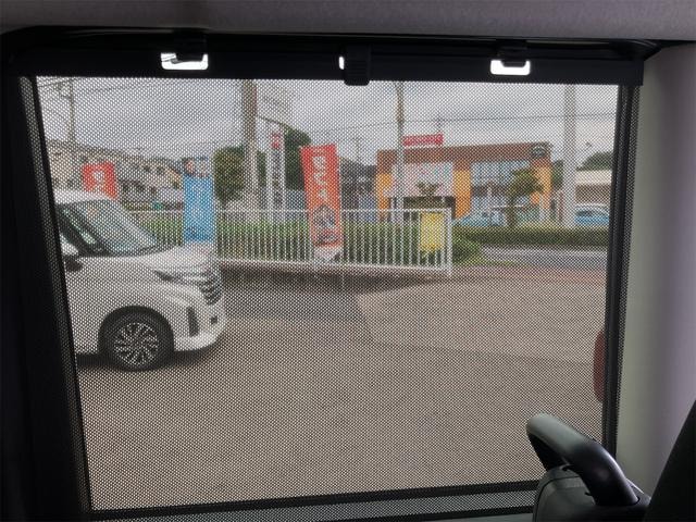 Миниатюра 42