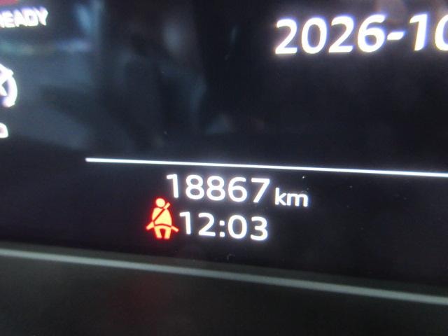 Миниатюра 66