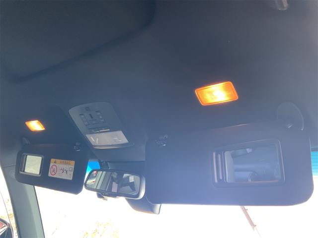 Миниатюра 51