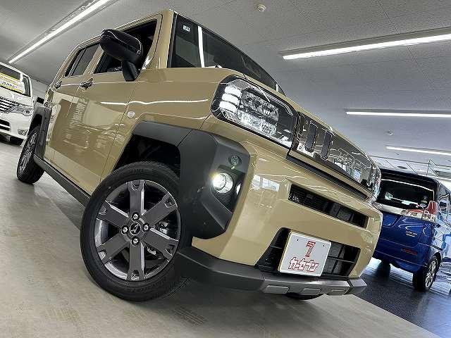Миниатюра 55