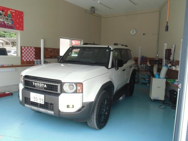 Миниатюра 43