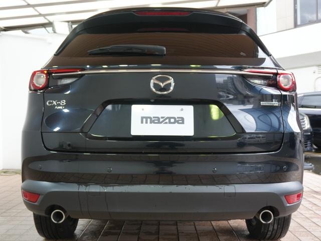 Миниатюра 12