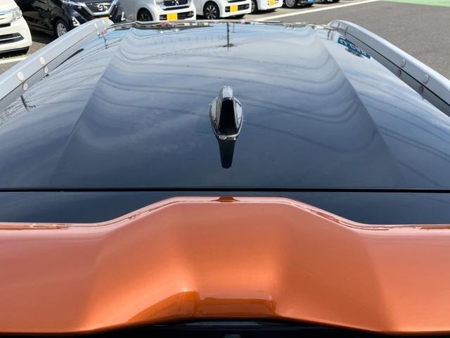 Миниатюра 17