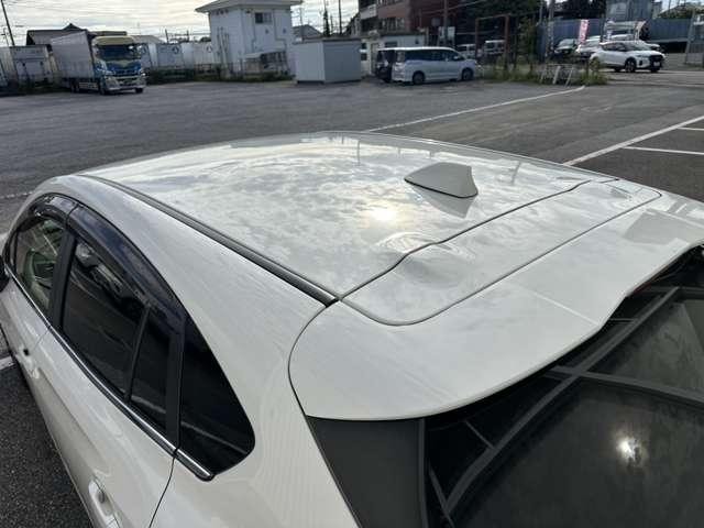 Миниатюра 19