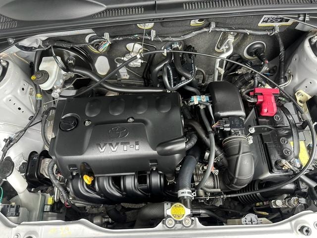 Миниатюра 17