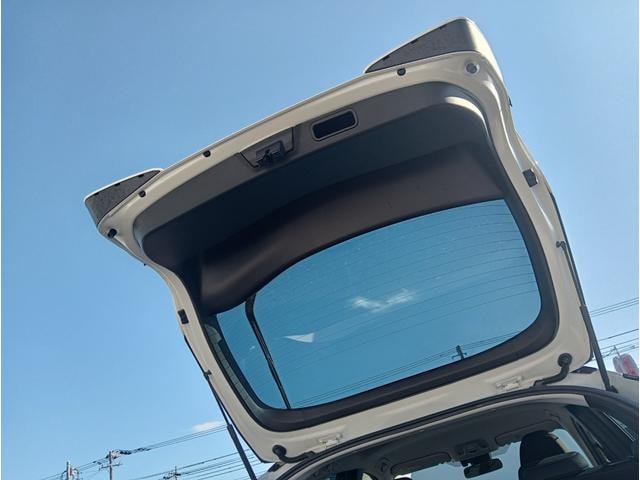 Миниатюра 52