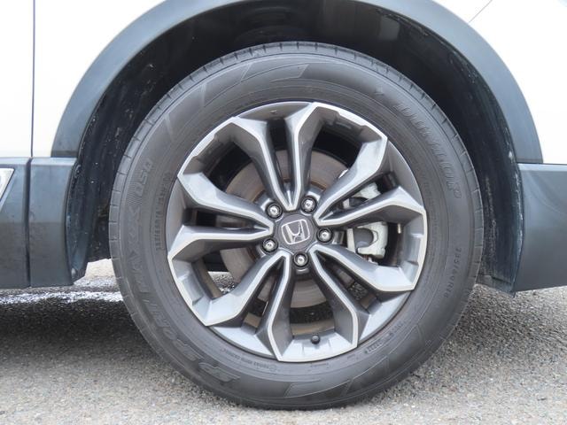 Миниатюра 55