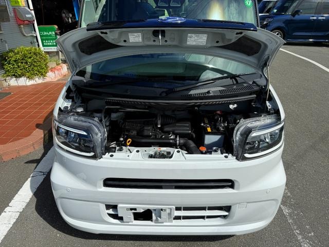 Миниатюра 34