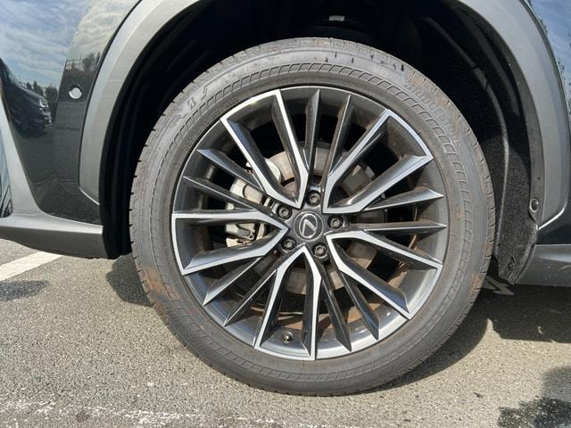 Миниатюра 37