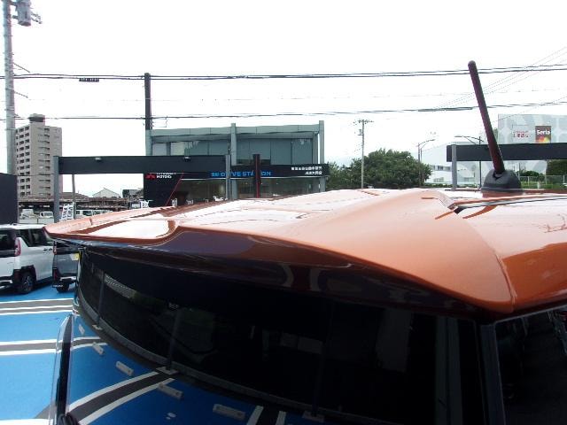 Миниатюра 29