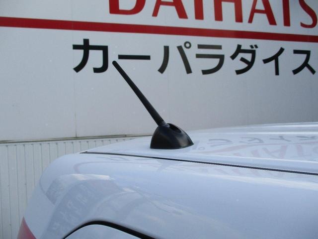 Миниатюра 67