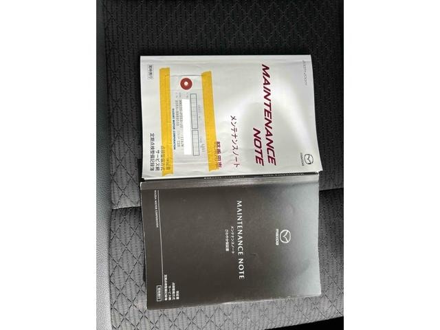 Миниатюра 67