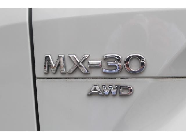 Миниатюра 30