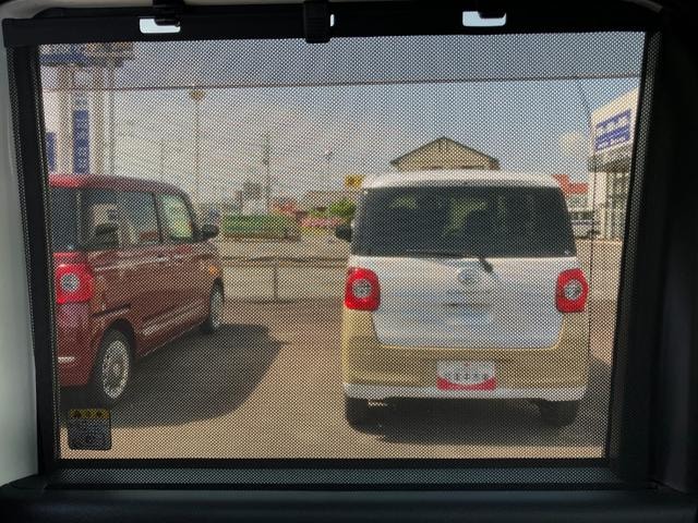 Миниатюра 21