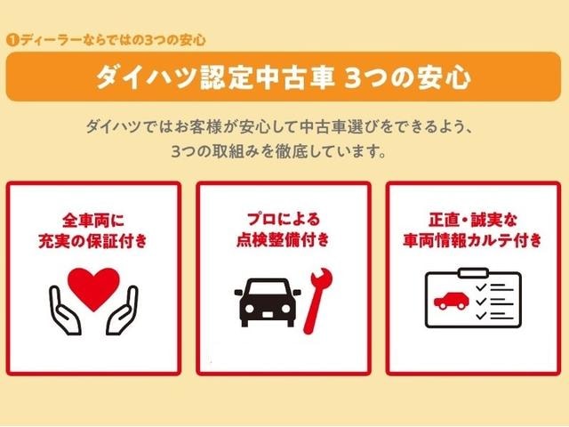 Миниатюра 55