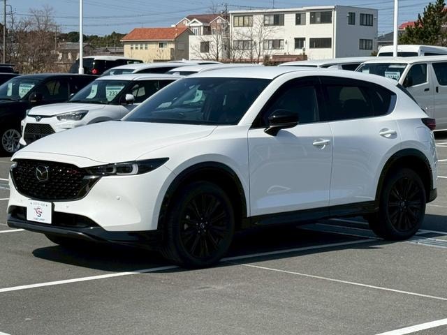 Миниатюра 60