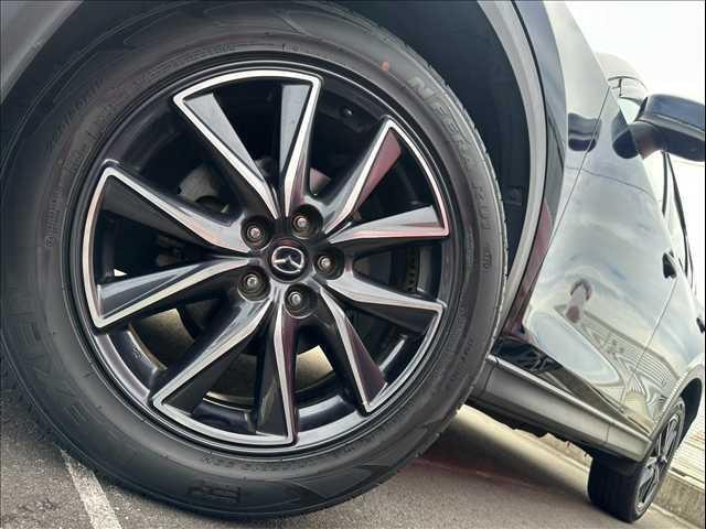 Миниатюра 19
