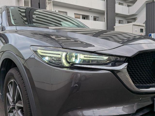 Миниатюра 43