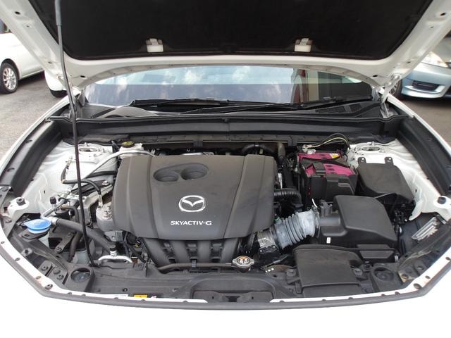 Миниатюра 19