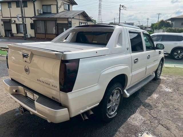 Миниатюра 12