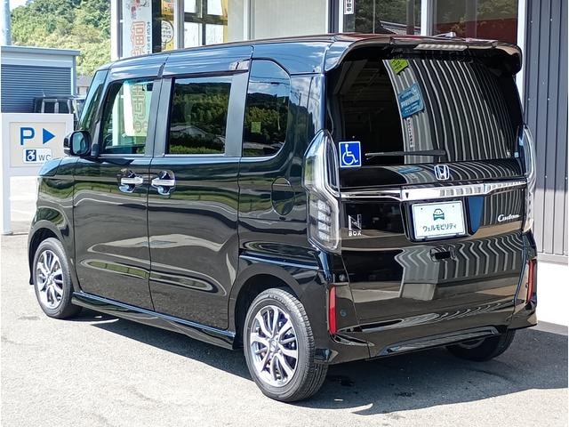 Миниатюра 55
