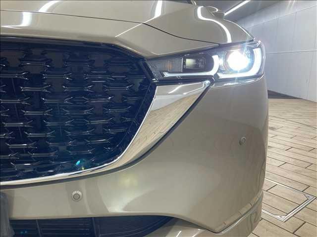 Миниатюра 20