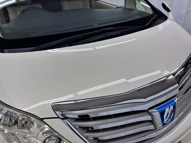 Миниатюра 41