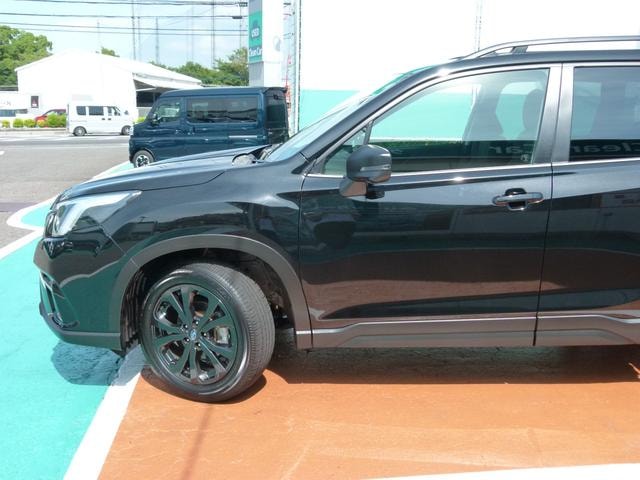 Миниатюра 47