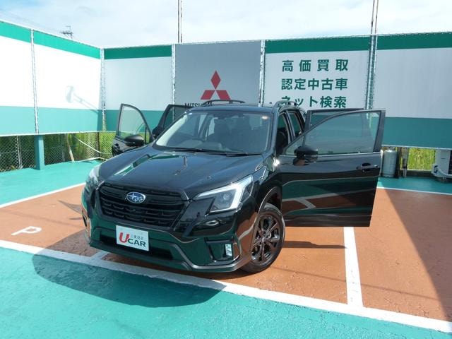 Миниатюра 77