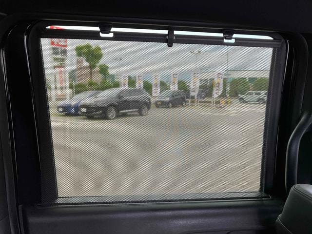 Миниатюра 29