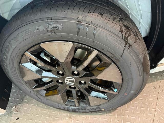 Миниатюра 35